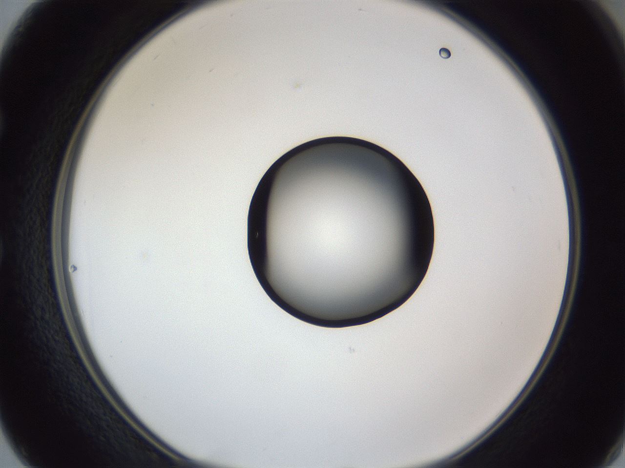 folderID326_plateID1326_batchID4444_wellNum50_profileID1_d1_r79737_ef.jpg