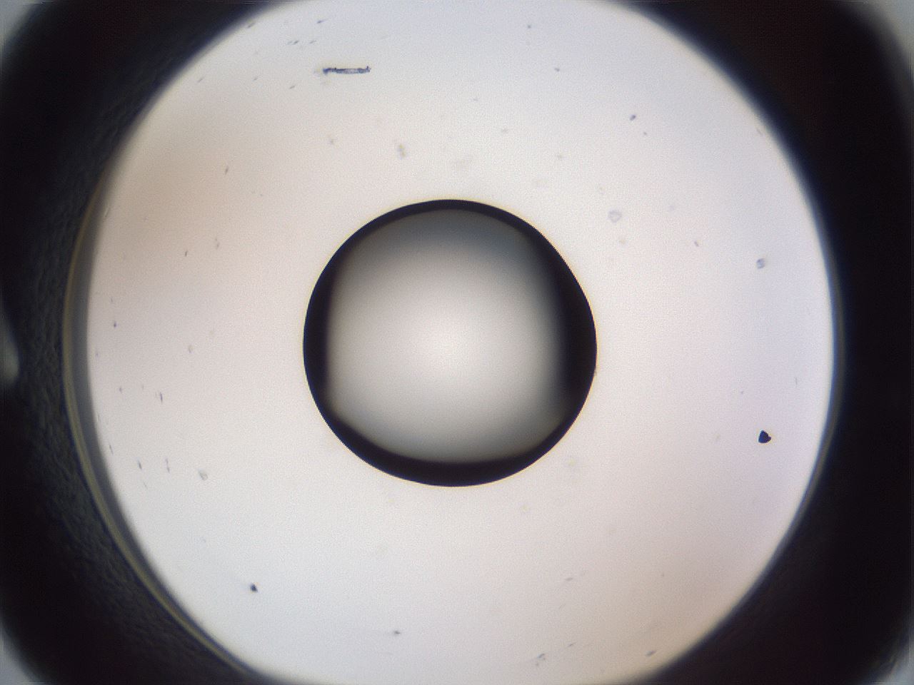 folderID326_plateID1326_batchID4444_wellNum8_profileID1_d1_r79695_ef.jpg