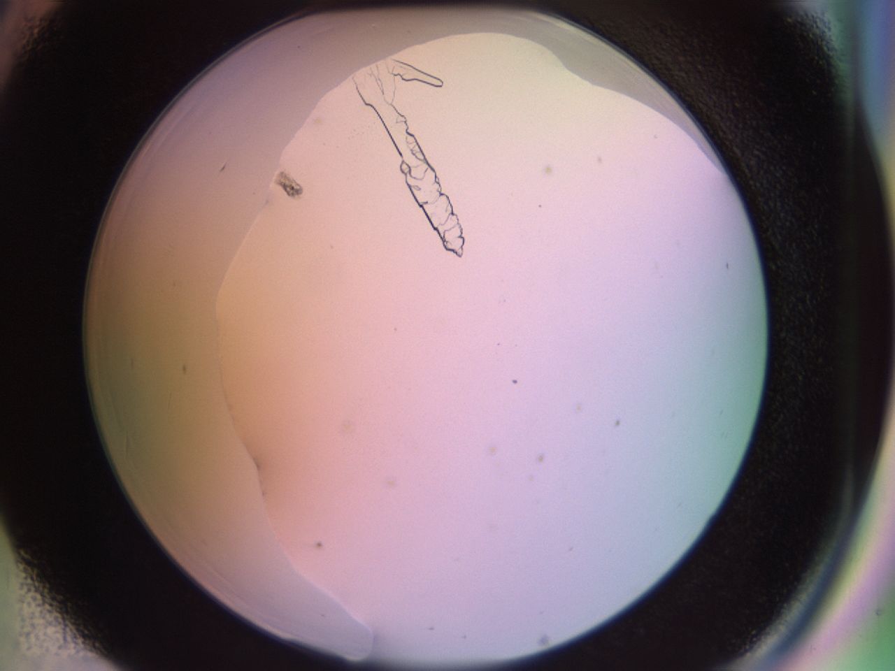 02ke_D5_ImagerDefaults_8.jpg