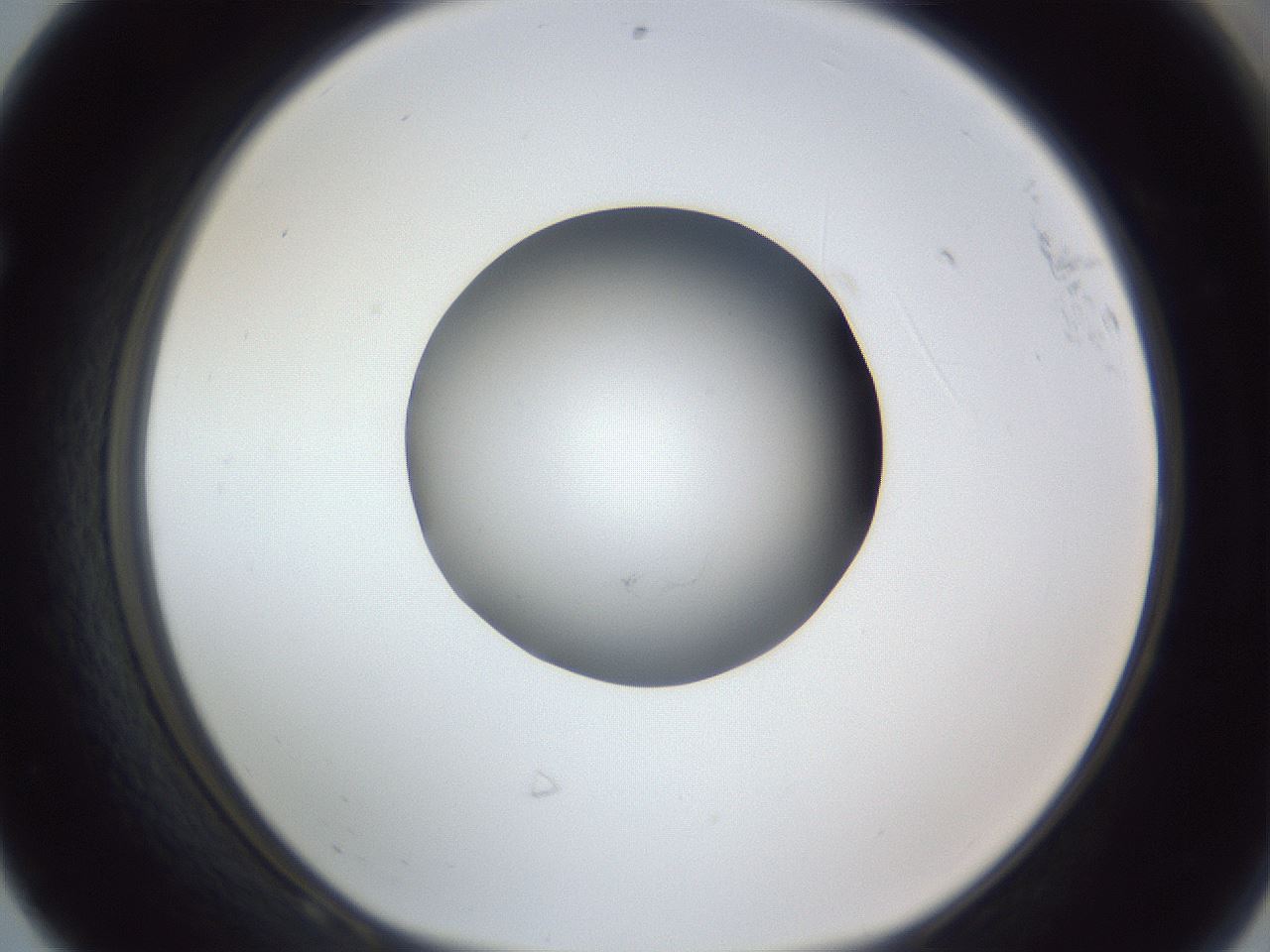 folderID326_plateID1326_batchID4493_wellNum68_profileID1_d1_r79755_ef.jpg