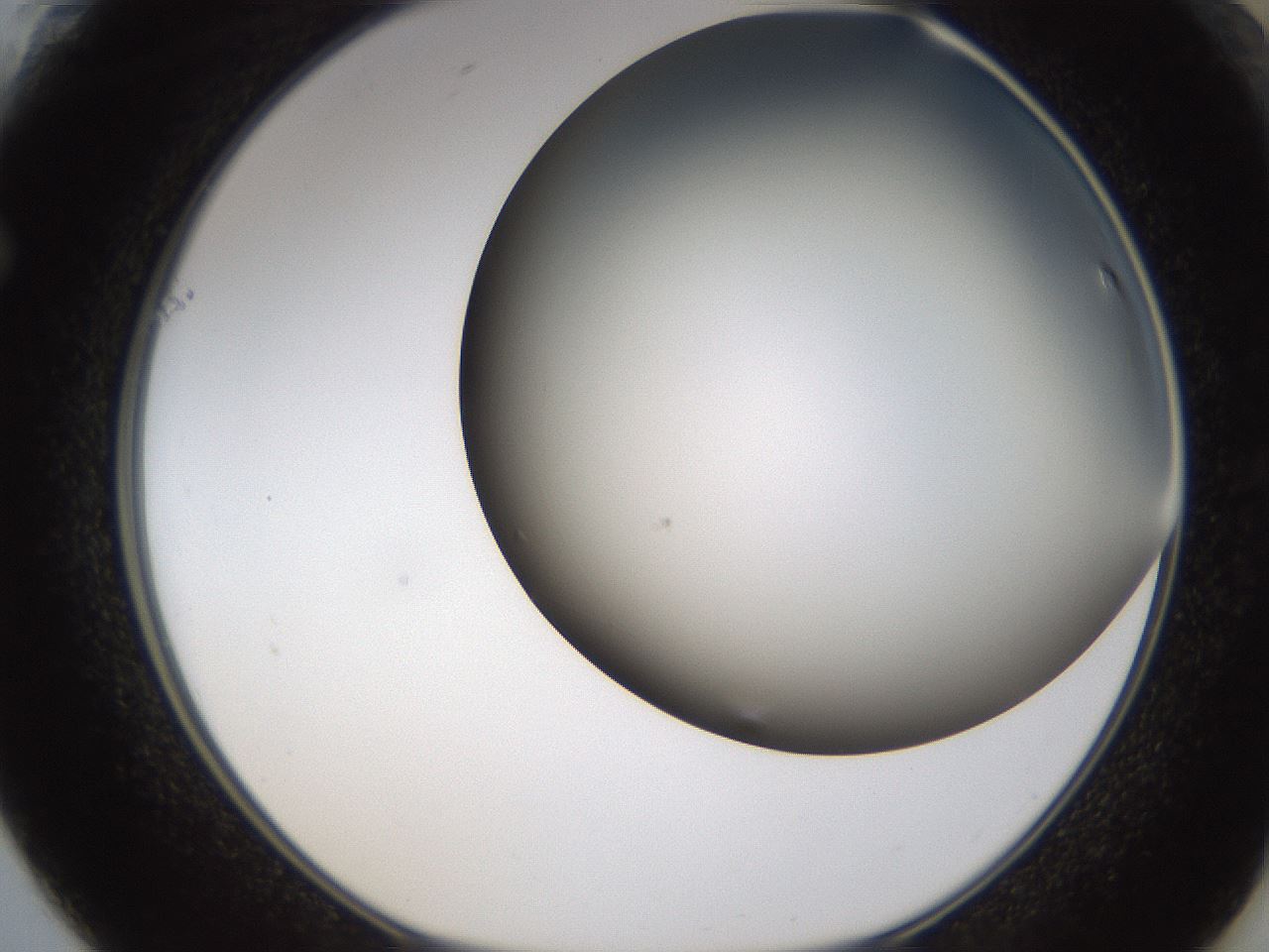 folderID324_plateID1324_batchID4479_wellNum61_profileID1_d1_r79478_ef.jpg