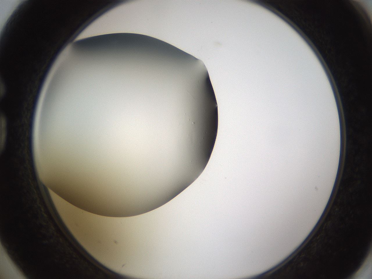 folderID339_plateID1339_batchID4571_wellNum74_profileID1_d1_r80589_ef.jpg