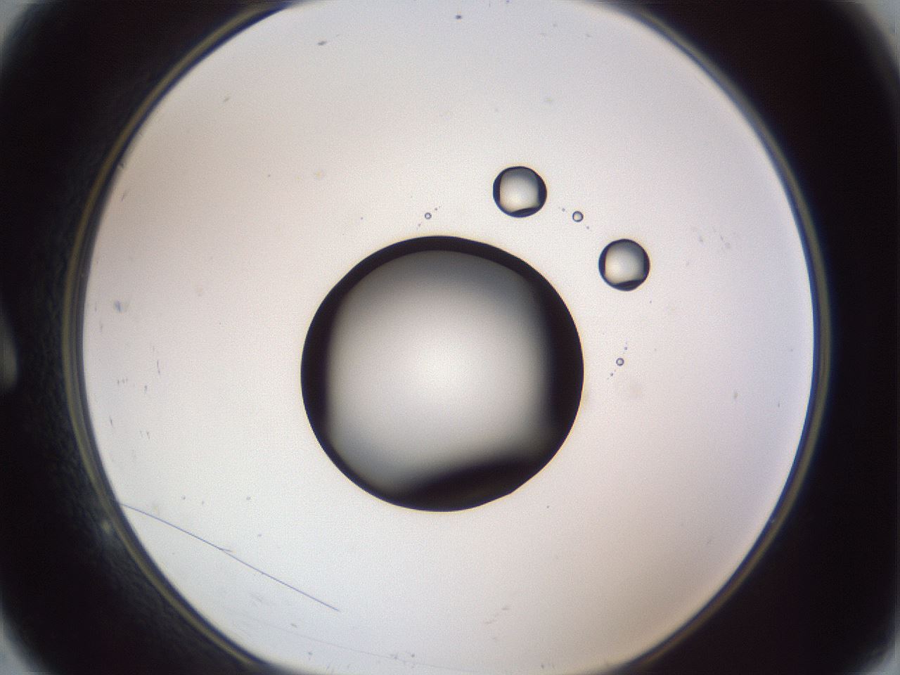 folderID326_plateID1326_batchID4444_wellNum9_profileID1_d1_r79696_ef.jpg