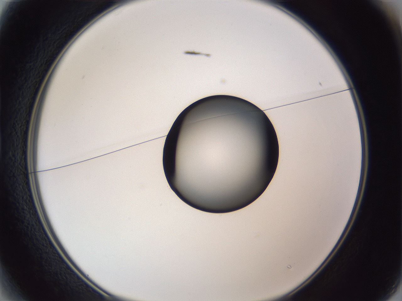 folderID326_plateID1326_batchID4493_wellNum13_profileID1_d1_r79700_ef.jpg