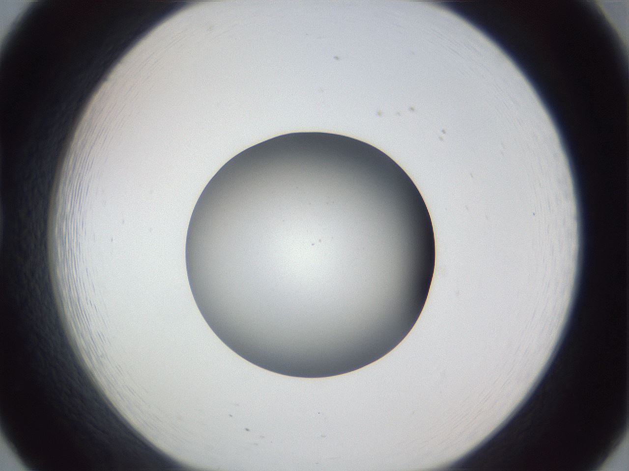 folderID326_plateID1326_batchID4493_wellNum20_profileID1_d1_r79707_ef.jpg
