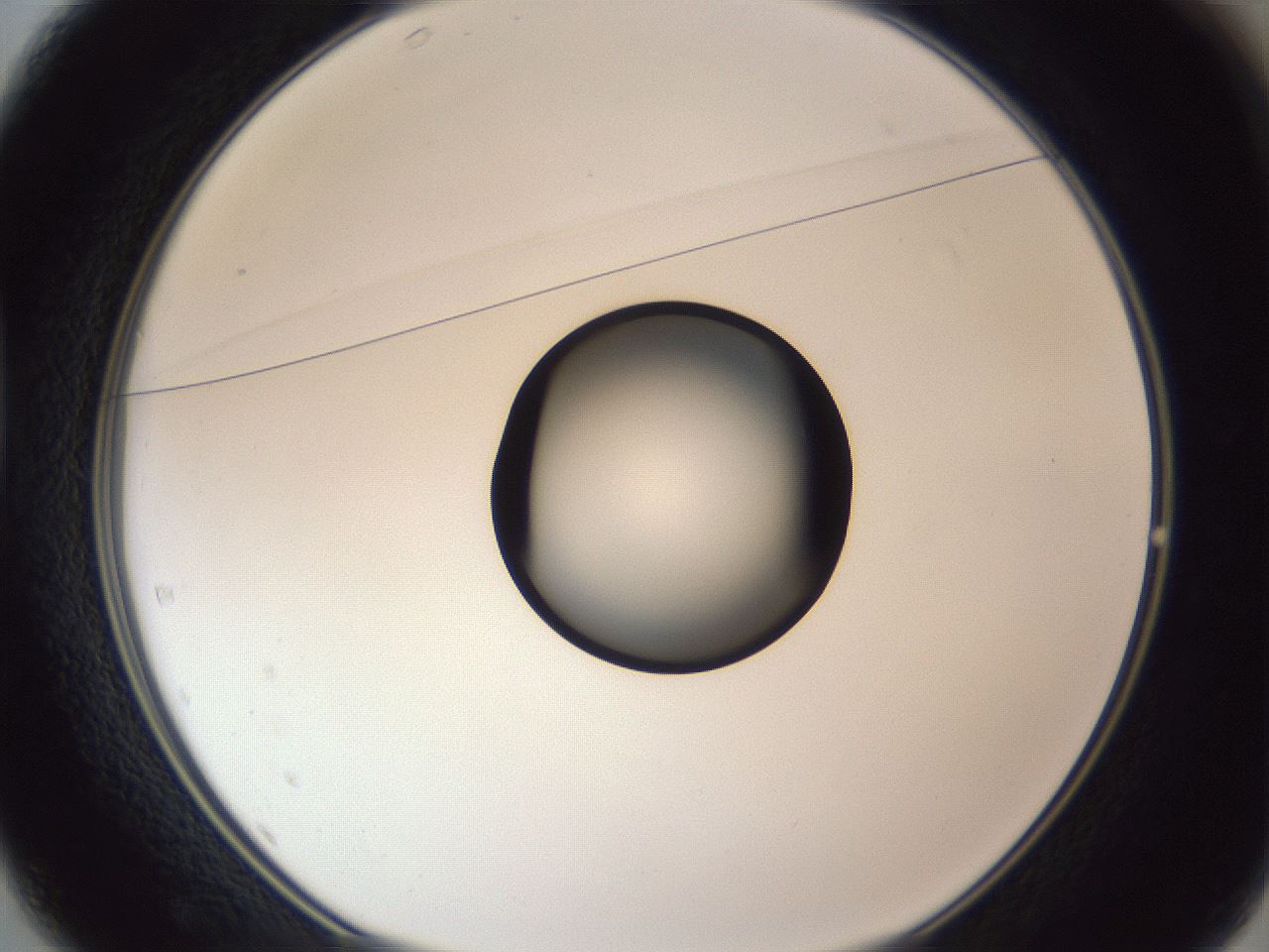 folderID326_plateID1326_batchID4493_wellNum37_profileID1_d1_r79724_ef.jpg
