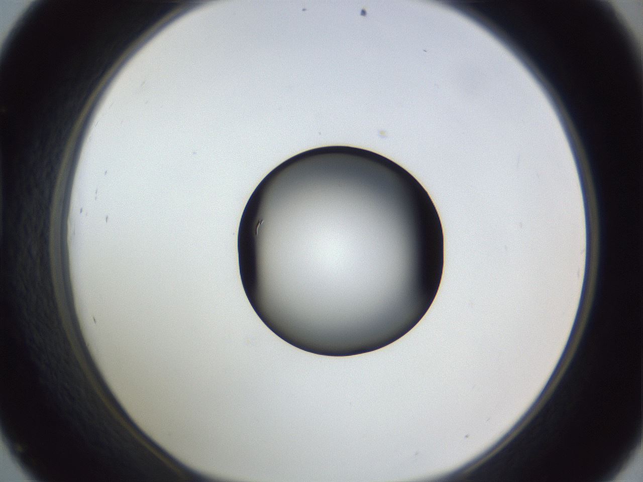 folderID326_plateID1326_batchID4493_wellNum45_profileID1_d1_r79732_ef.jpg