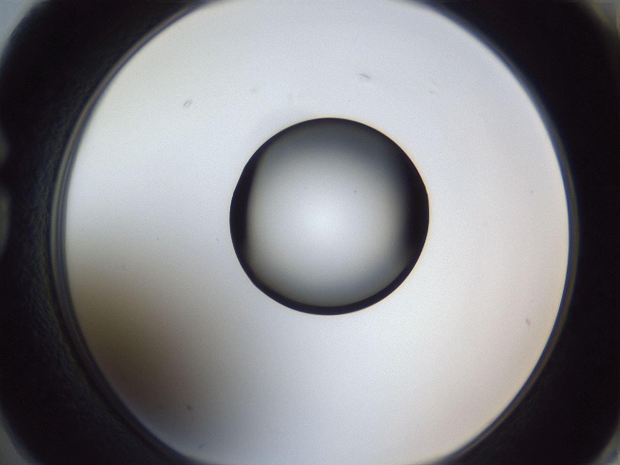 folderID326_plateID1326_batchID4493_wellNum74_profileID1_d1_r79761_ef.jpg