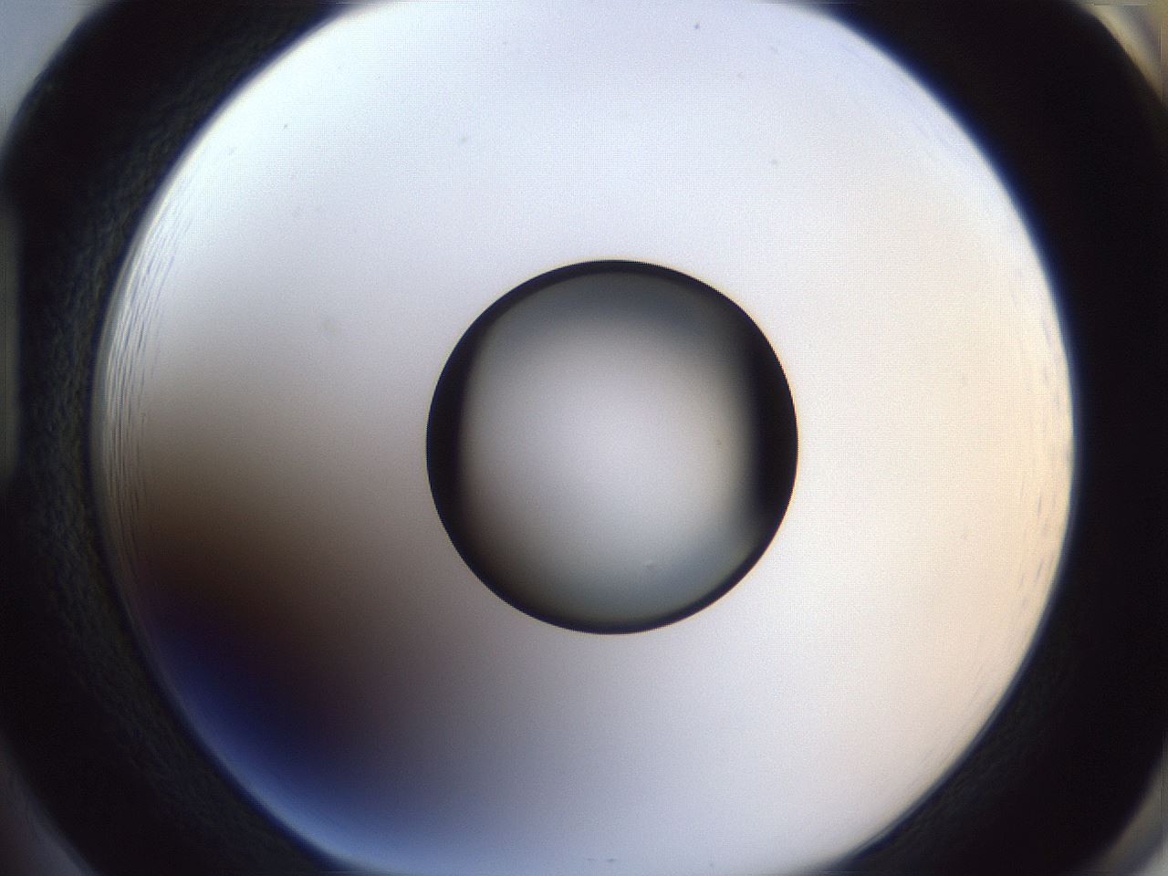 folderID327_plateID1327_batchID4443_wellNum85_profileID1_d1_r79676_ef.jpg