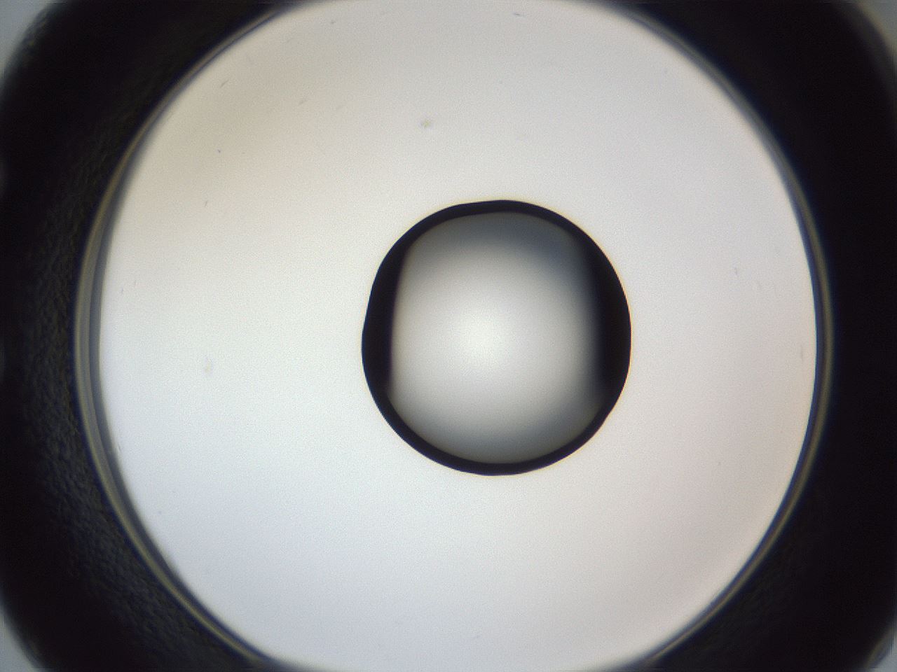 folderID327_plateID1327_batchID4492_wellNum50_profileID1_d1_r79641_ef.jpg
