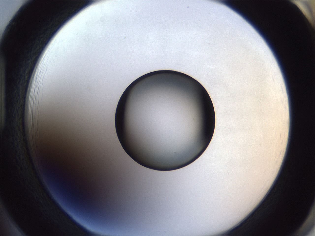 folderID327_plateID1327_batchID4492_wellNum85_profileID1_d1_r79676_ef.jpg