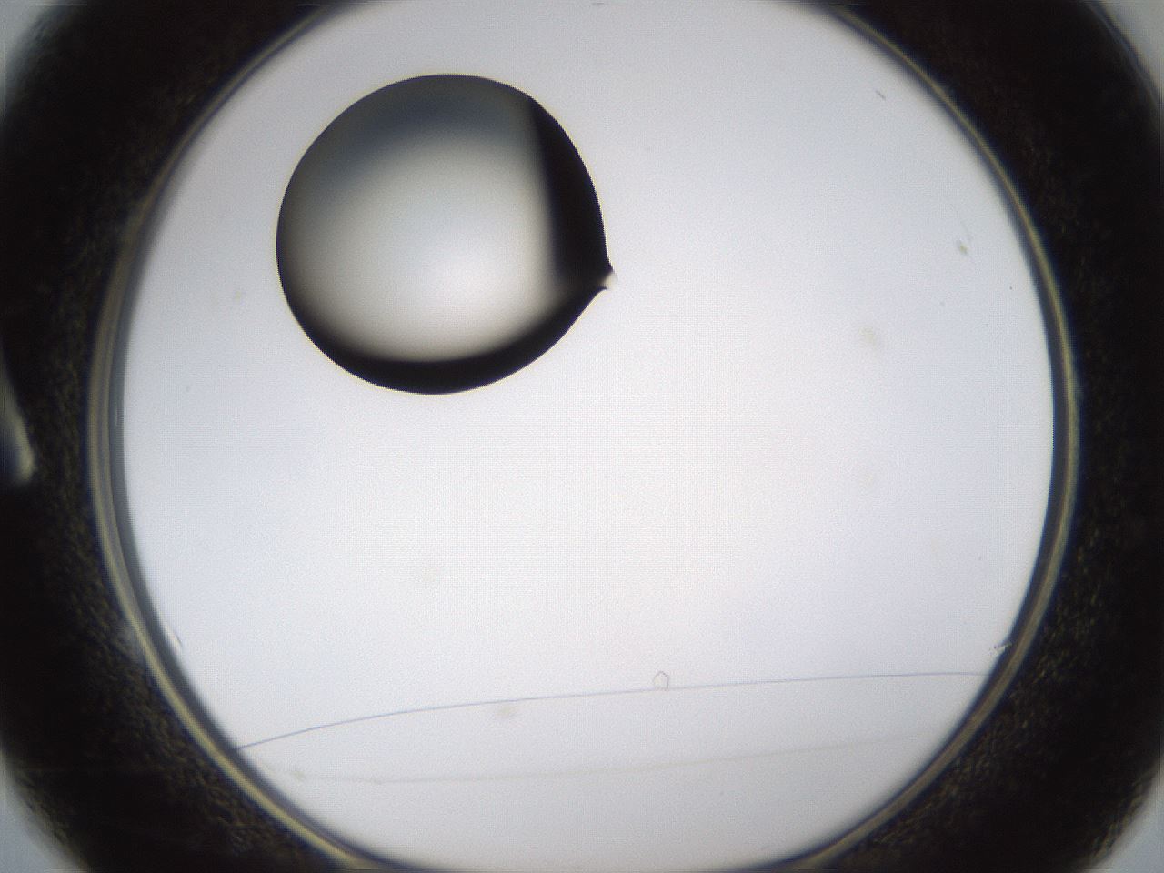 folderID328_plateID1328_batchID4530_wellNum1_profileID1_d1_r79976_ef.jpg