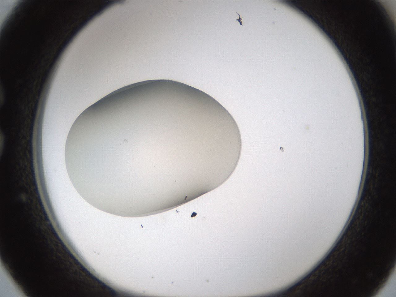 folderID328_plateID1328_batchID4530_wellNum26_profileID1_d1_r80001_ef.jpg