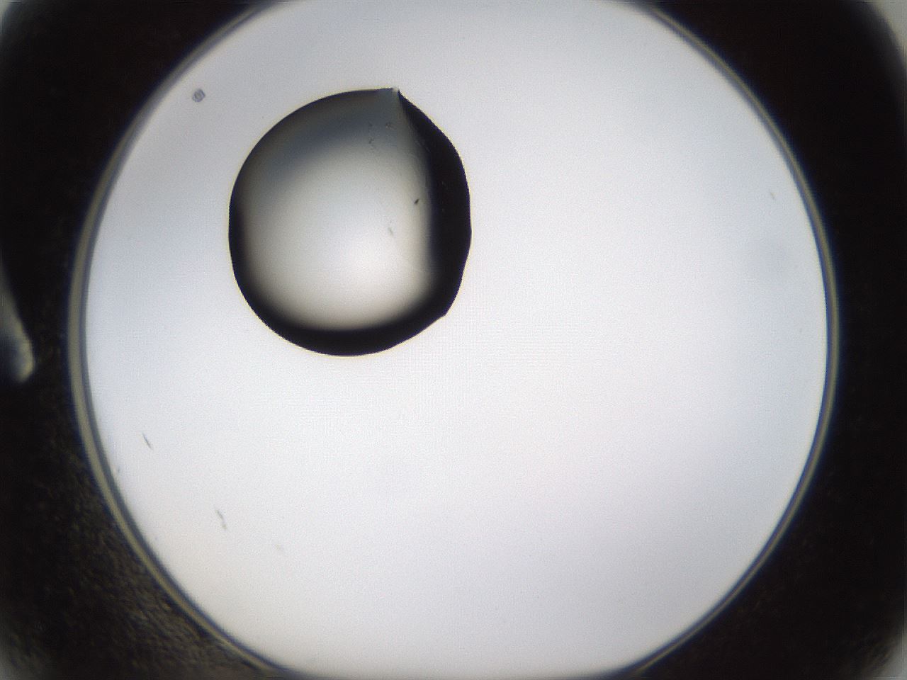 folderID328_plateID1328_batchID4530_wellNum2_profileID1_d1_r79977_ef.jpg