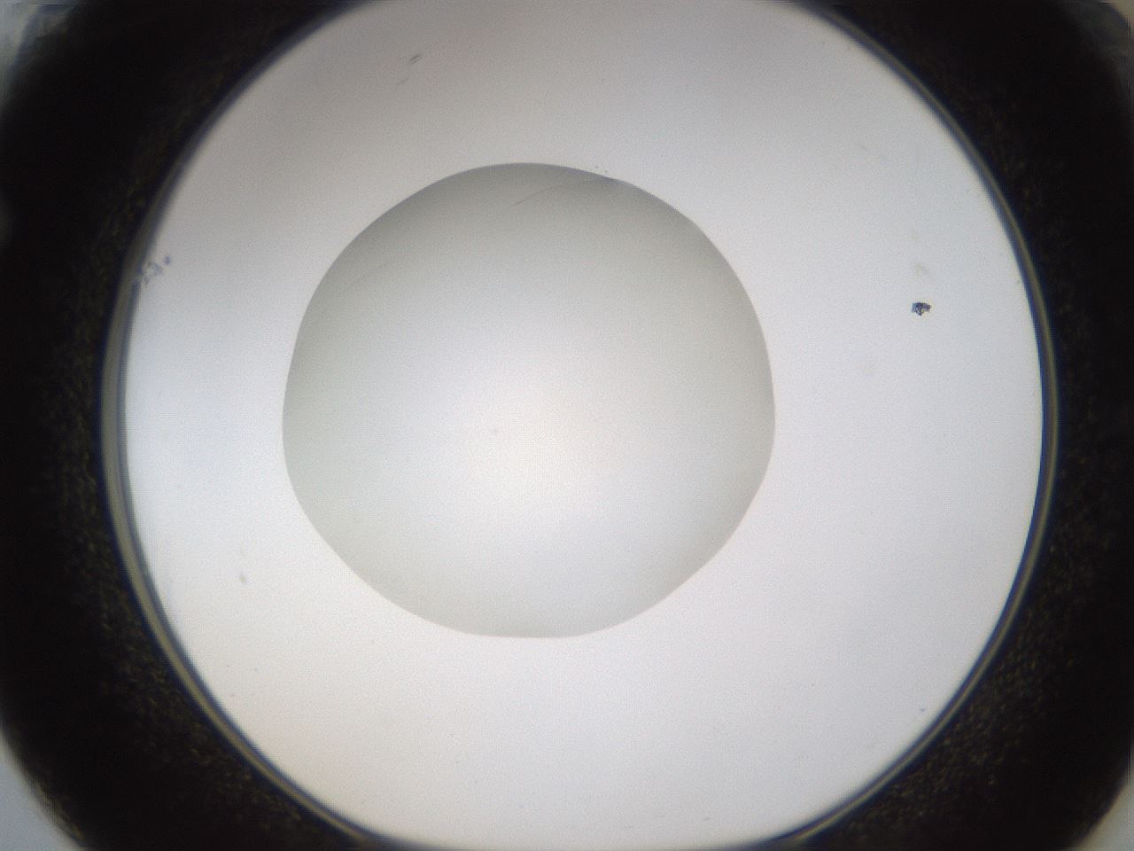 folderID328_plateID1328_batchID4530_wellNum61_profileID1_d1_r80036_ef.jpg
