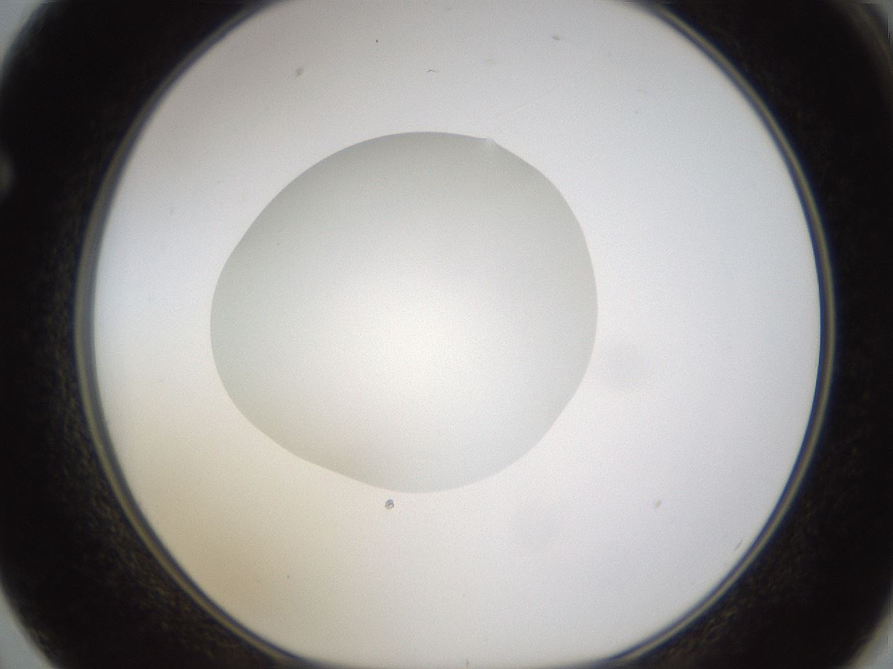 folderID328_plateID1328_batchID4530_wellNum62_profileID1_d1_r80037_ef.jpg