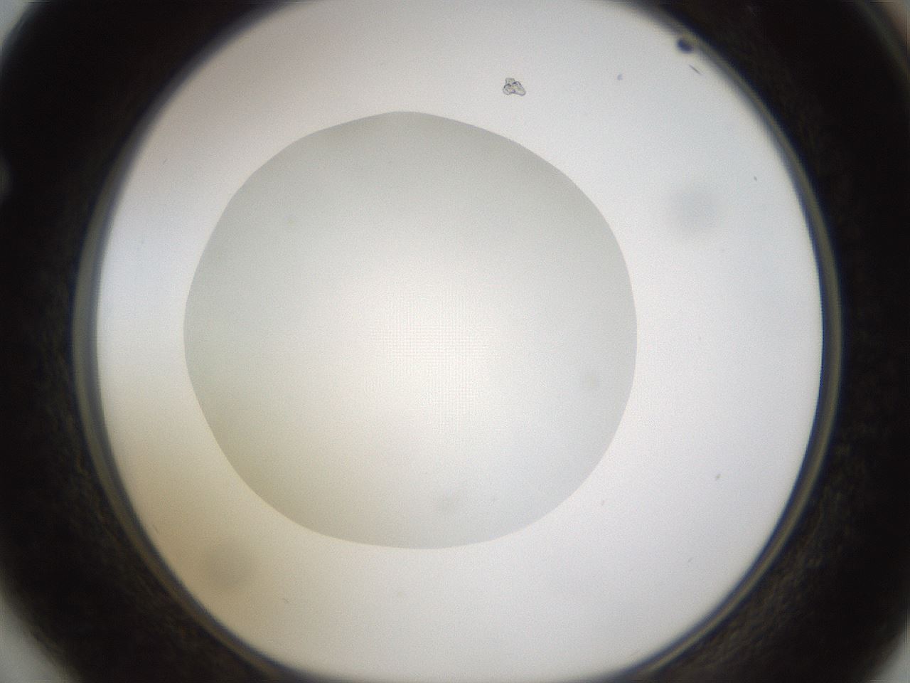 folderID328_plateID1328_batchID4530_wellNum64_profileID1_d1_r80039_ef.jpg