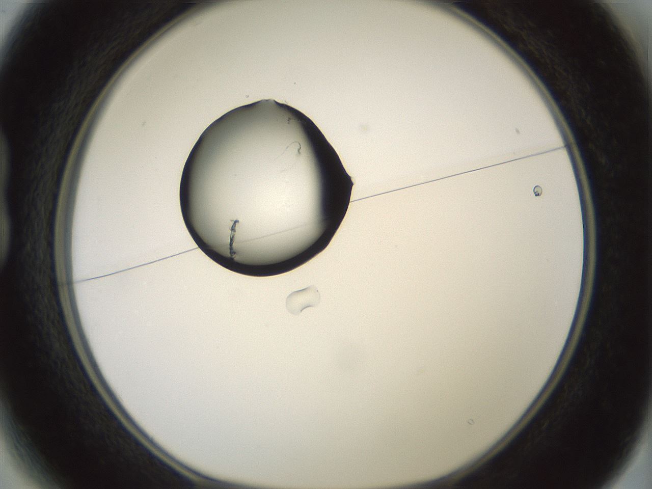 folderID329_plateID1329_batchID4526_wellNum13_profileID1_d1_r80276_ef.jpg