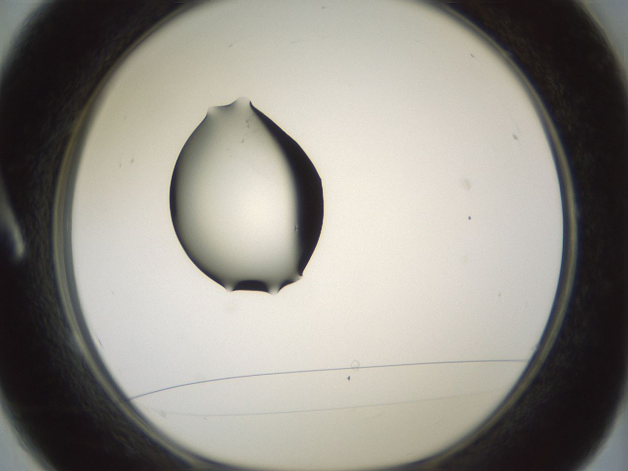 folderID329_plateID1329_batchID4526_wellNum1_profileID1_d1_r80264_ef.jpg