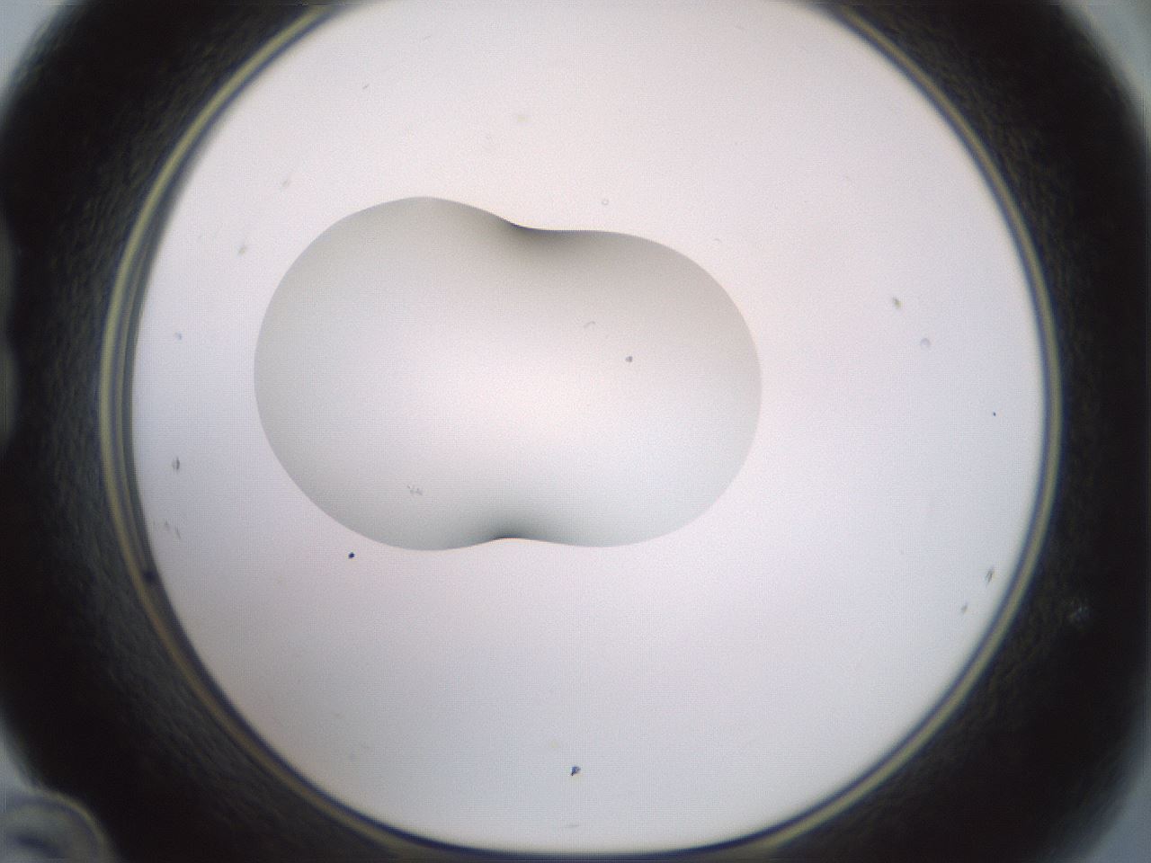 folderID329_plateID1329_batchID4526_wellNum24_profileID1_d1_r80287_ef.jpg