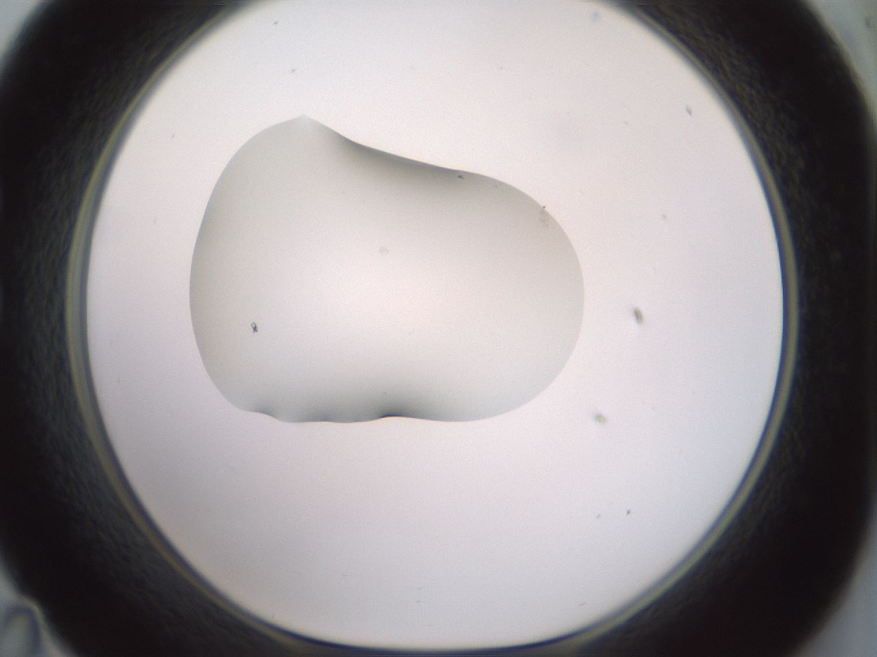 folderID329_plateID1329_batchID4526_wellNum35_profileID1_d1_r80298_ef.jpg