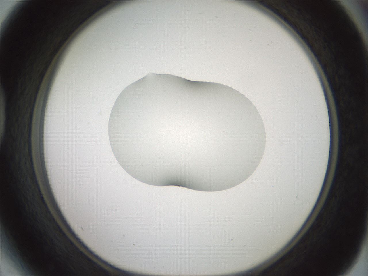 folderID329_plateID1329_batchID4526_wellNum41_profileID1_d1_r80304_ef.jpg
