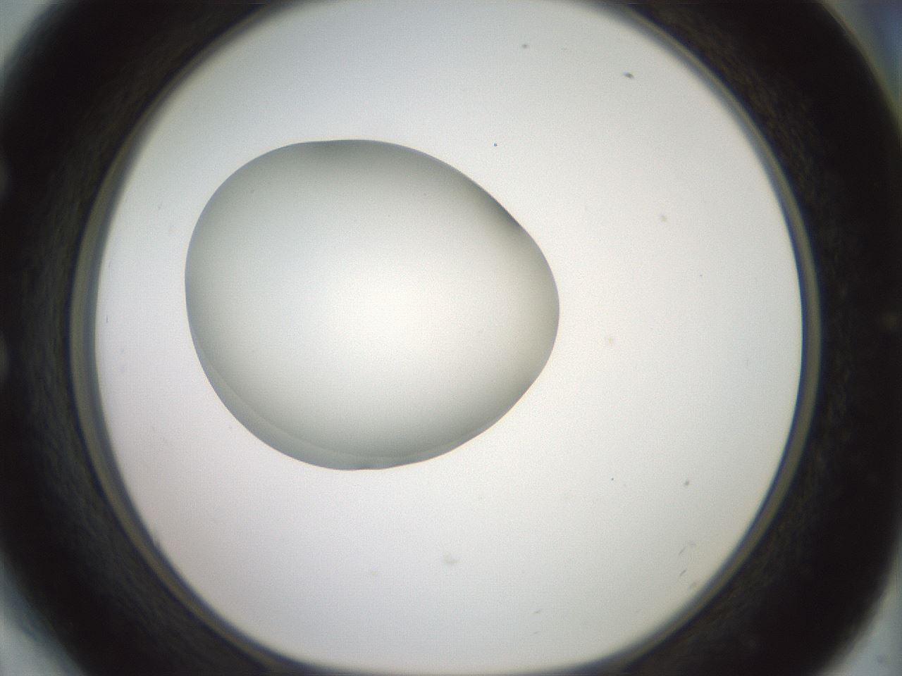 folderID329_plateID1329_batchID4526_wellNum54_profileID1_d1_r80317_ef.jpg