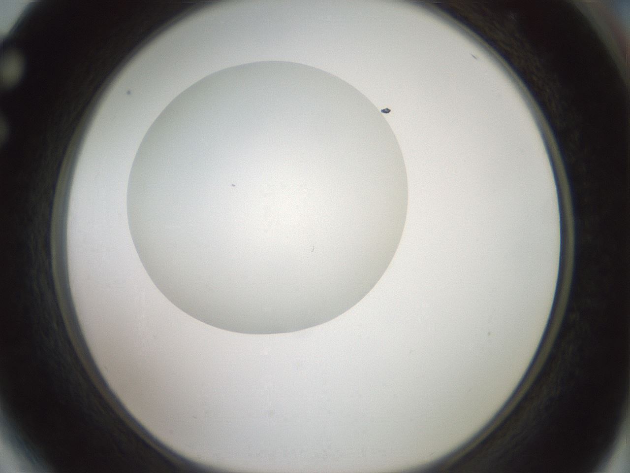 folderID329_plateID1329_batchID4526_wellNum64_profileID1_d1_r80327_ef.jpg