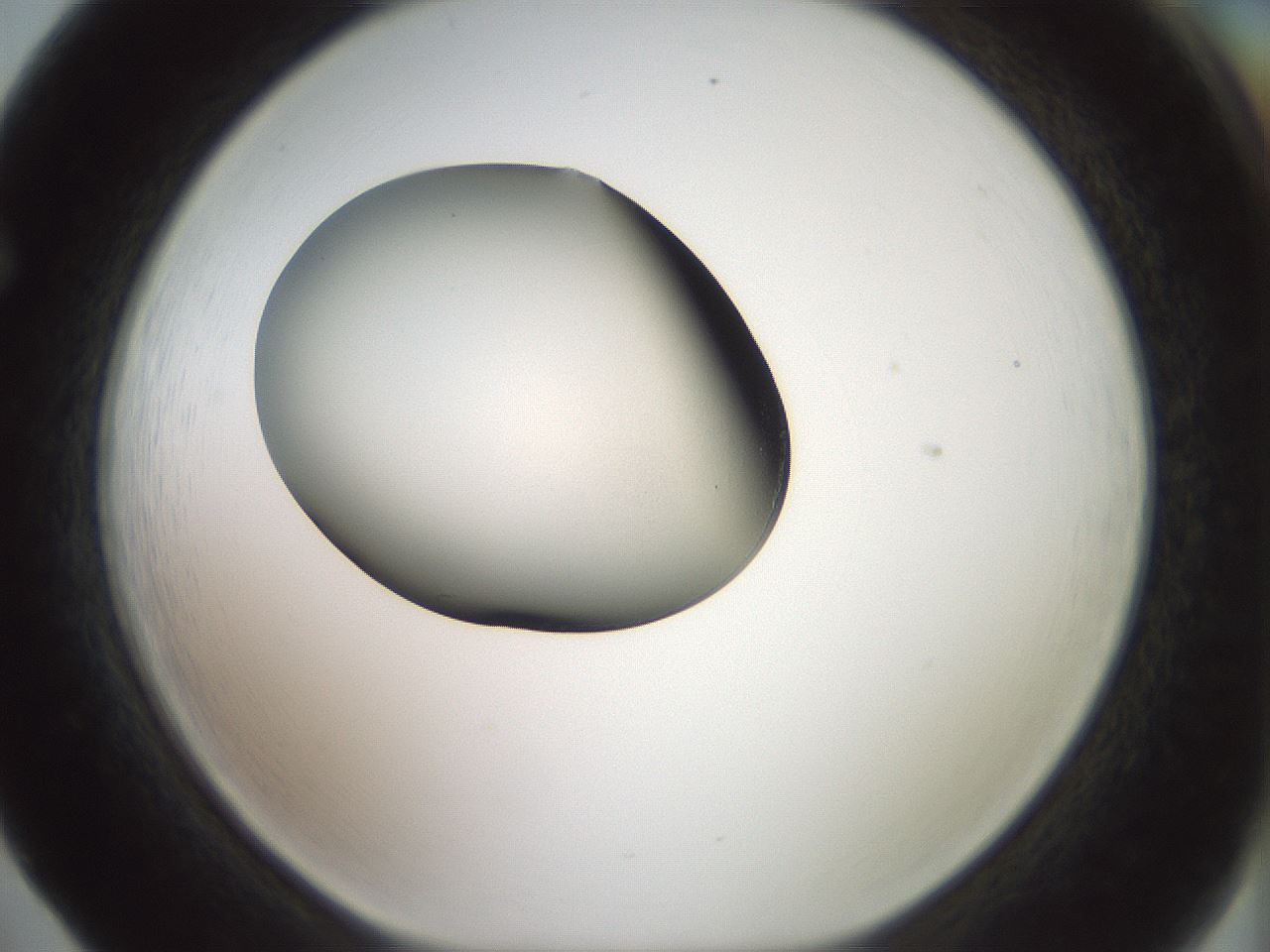 folderID329_plateID1329_batchID4526_wellNum65_profileID1_d1_r80328_ef.jpg