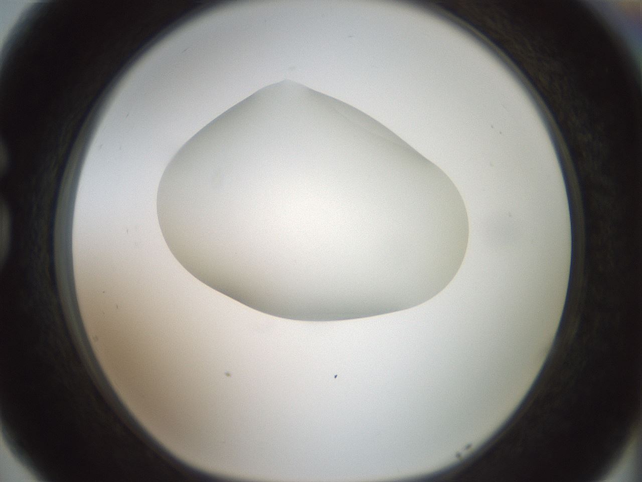 folderID329_plateID1329_batchID4526_wellNum77_profileID1_d1_r80340_ef.jpg