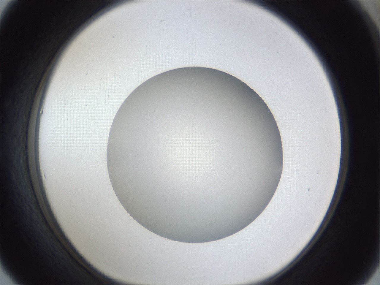 folderID32_plateID1032_batchID2002_wellNum53_profileID1_d1_r44620_ef.jpg
