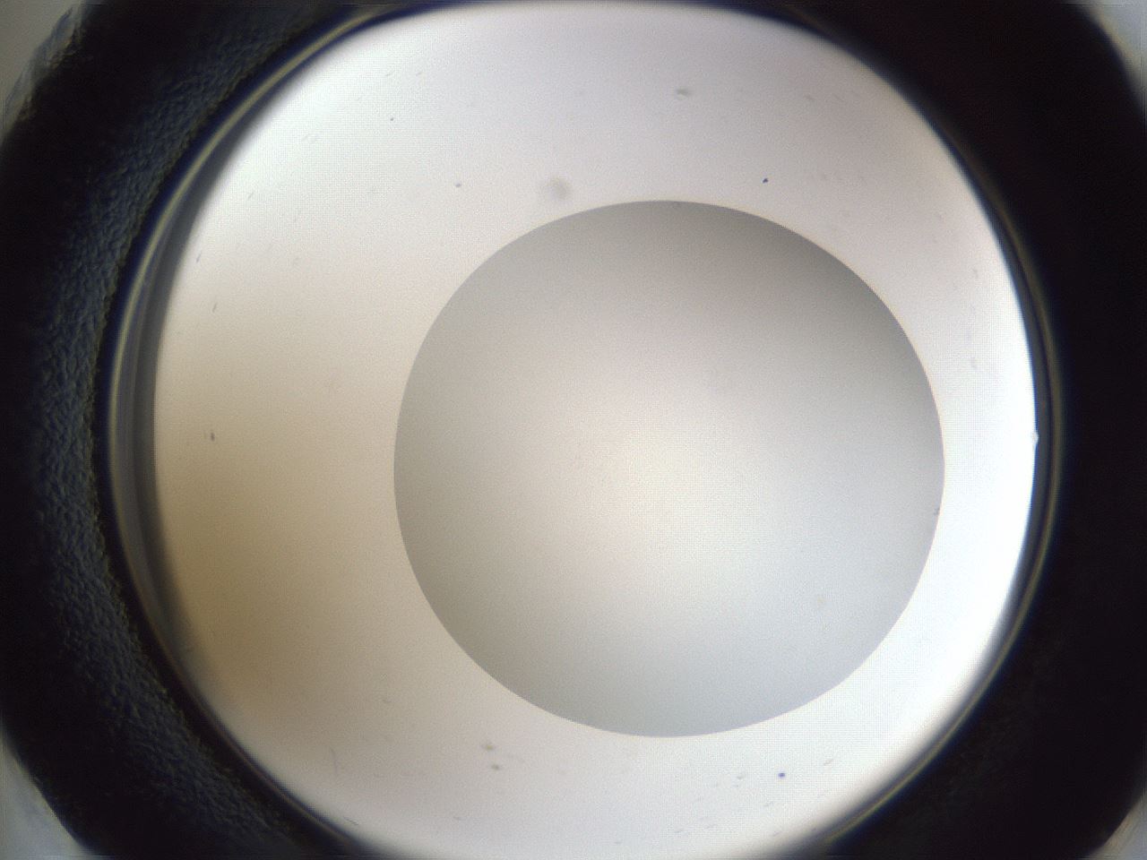 folderID32_plateID1032_batchID2002_wellNum73_profileID1_d2_r44661_ef.jpg