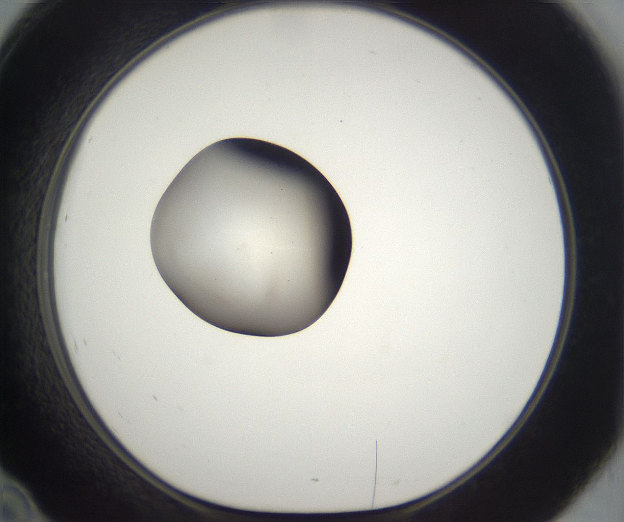 folderID329_plateID2329_batchID11000_wellNum46_profileID1_d1_r164464_ef.jpg