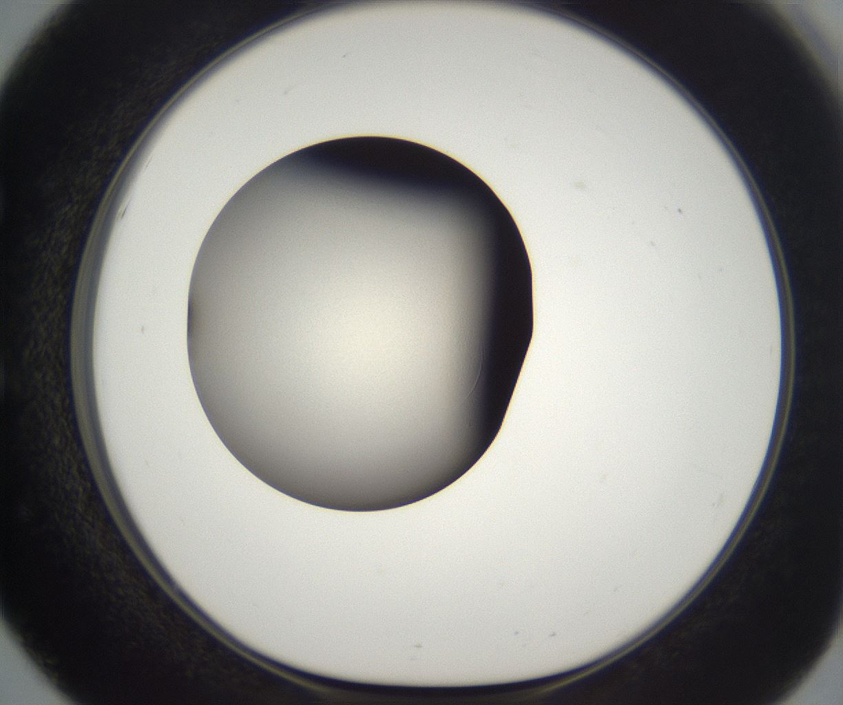 folderID329_plateID2329_batchID11000_wellNum51_profileID1_d1_r164469_ef.jpg