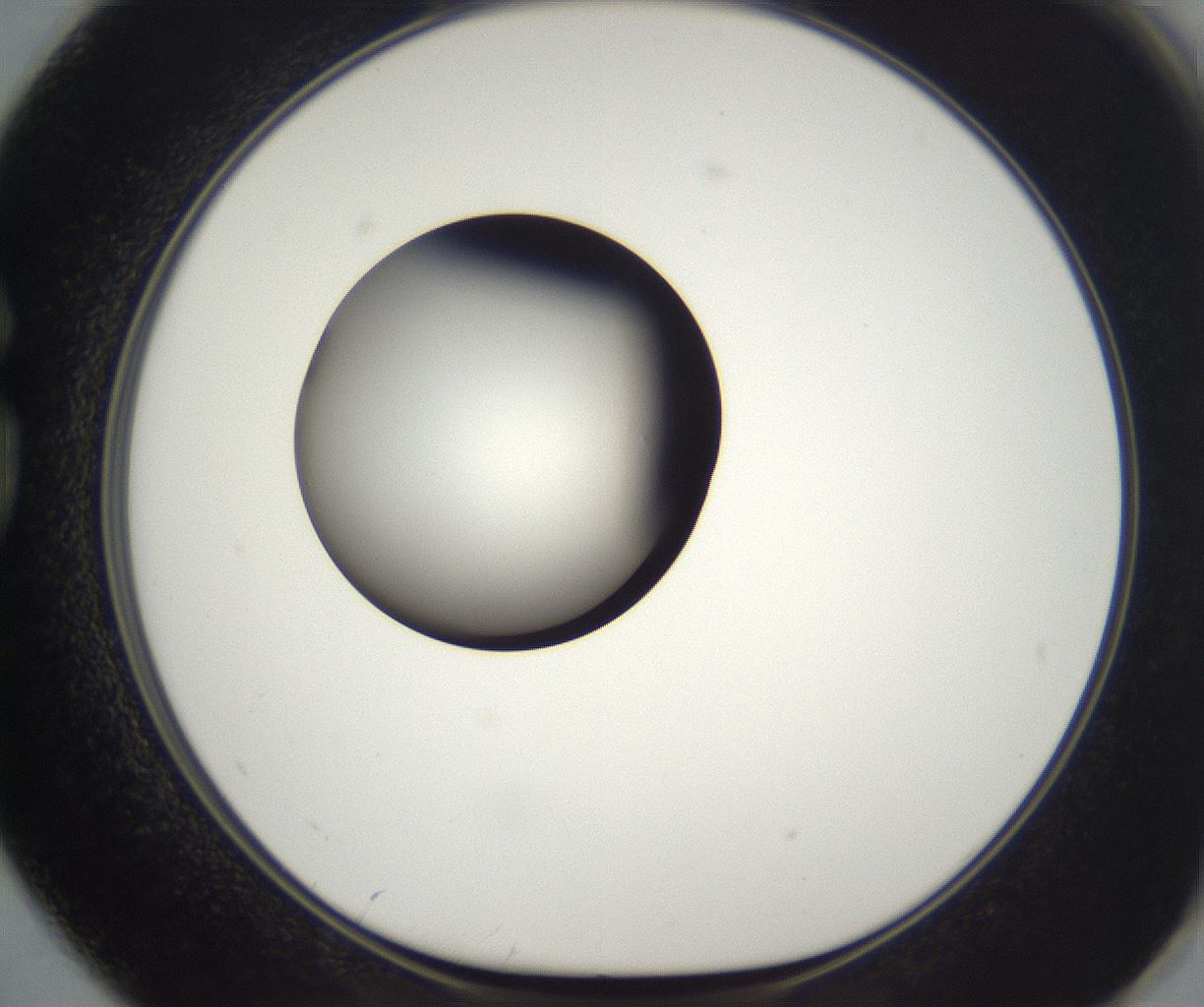 folderID329_plateID2329_batchID11000_wellNum74_profileID1_d1_r164492_ef.jpg