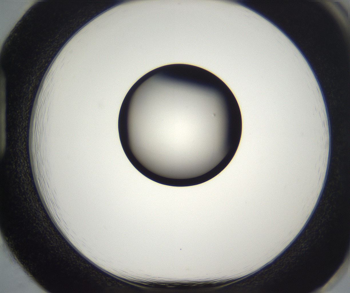 folderID329_plateID2329_batchID11000_wellNum85_profileID1_d1_r164503_ef.jpg