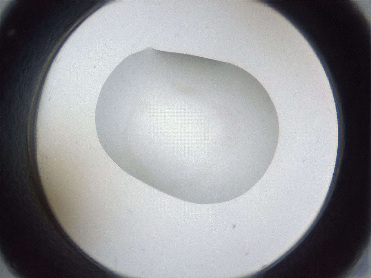 folderID32_plateID1032_batchID2002_wellNum32_profileID1_d2_r44579_ef.jpg