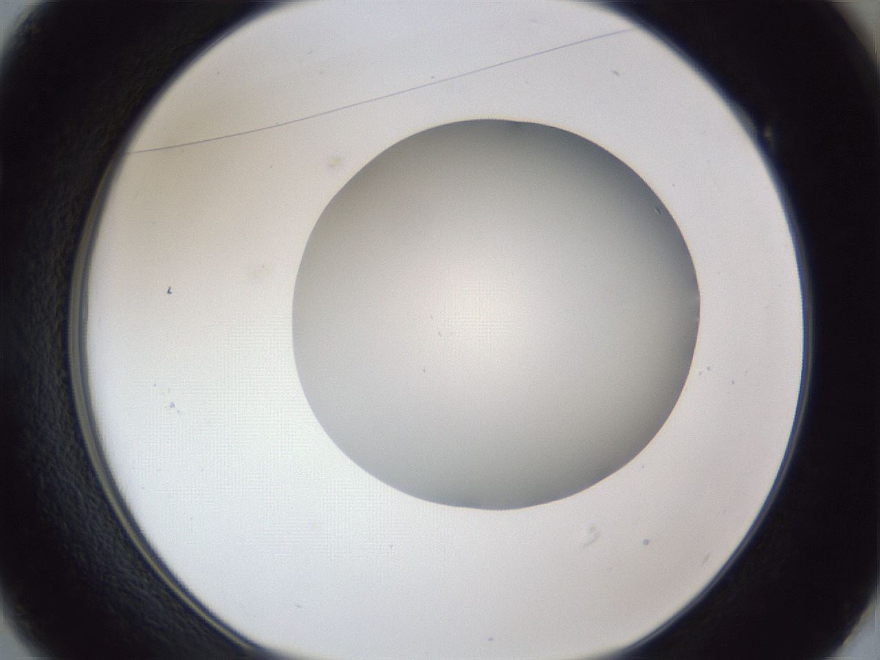 folderID32_plateID1032_batchID2002_wellNum49_profileID1_d1_r44612_ef.jpg
