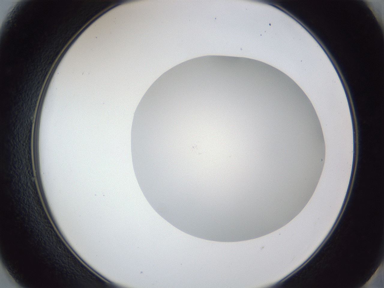 folderID32_plateID1032_batchID2002_wellNum49_profileID1_d2_r44613_ef.jpg