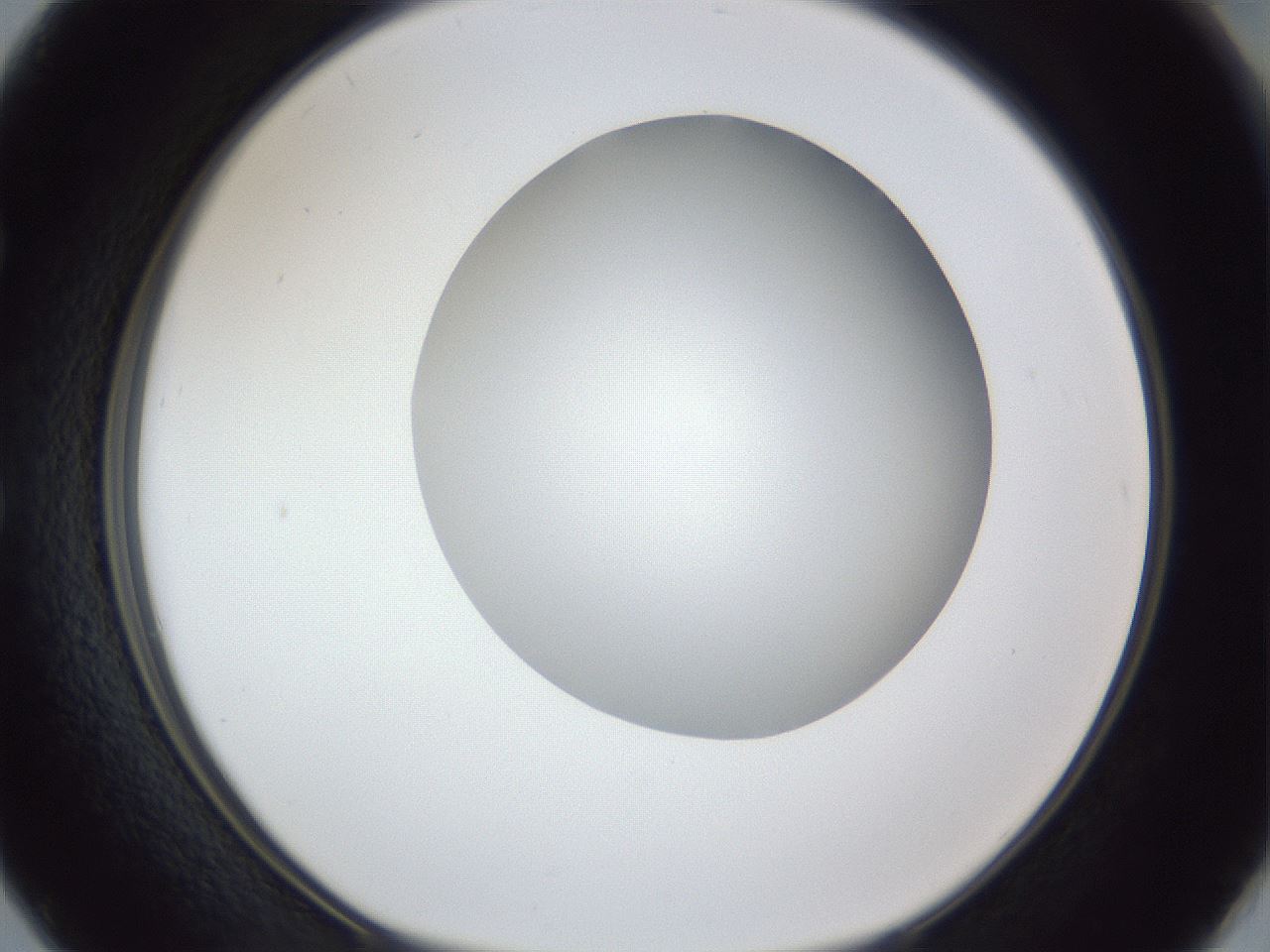 folderID32_plateID1032_batchID2002_wellNum50_profileID1_d1_r44614_ef.jpg