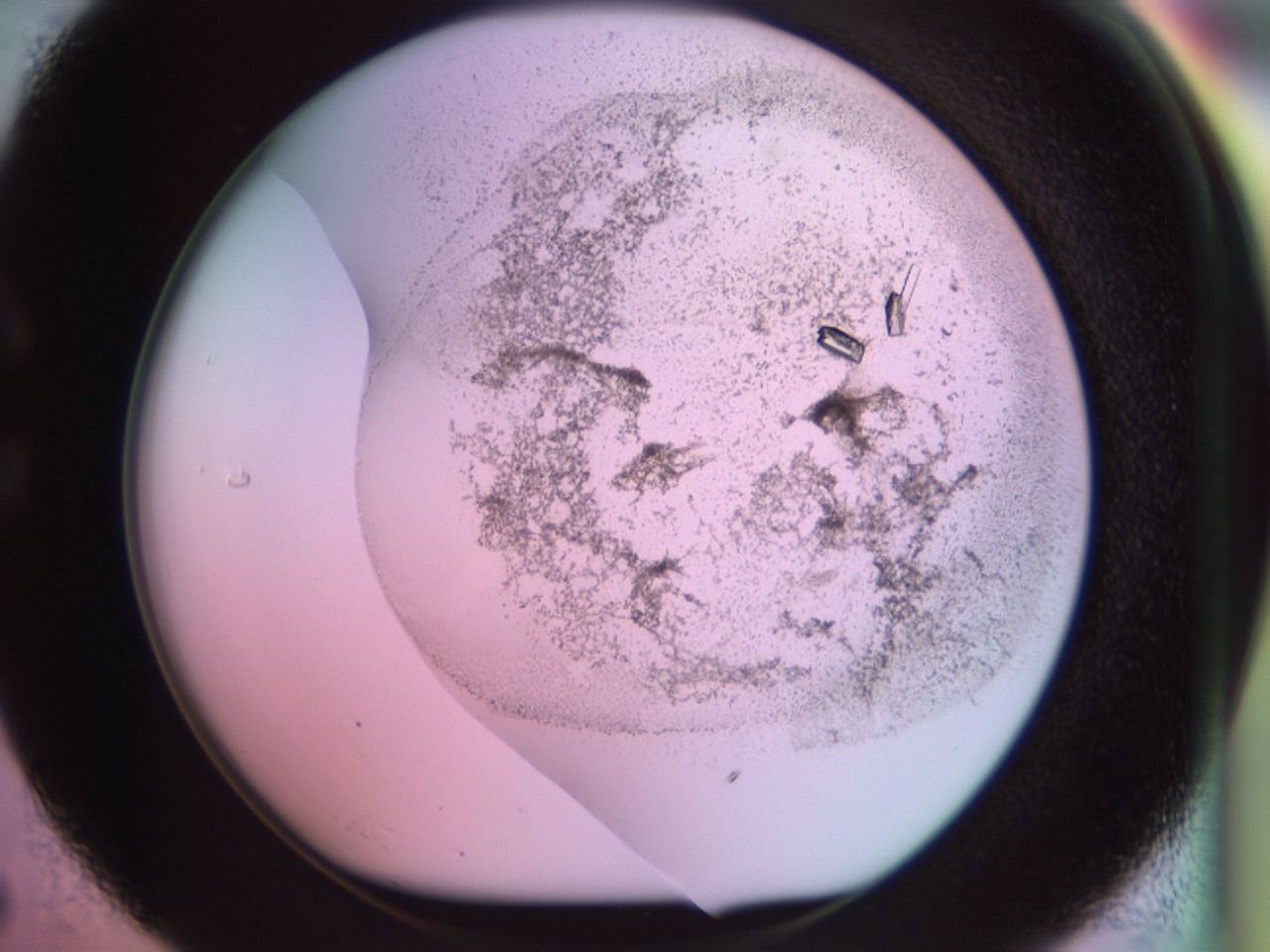 02kf_C5_ImagerDefaults_9.jpg