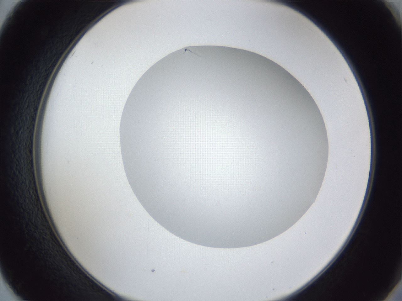 folderID32_plateID1032_batchID2002_wellNum50_profileID1_d2_r44615_ef.jpg