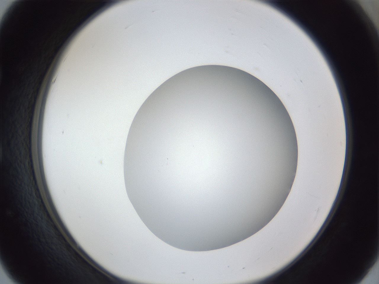 folderID32_plateID1032_batchID2002_wellNum51_profileID1_d1_r44616_ef.jpg