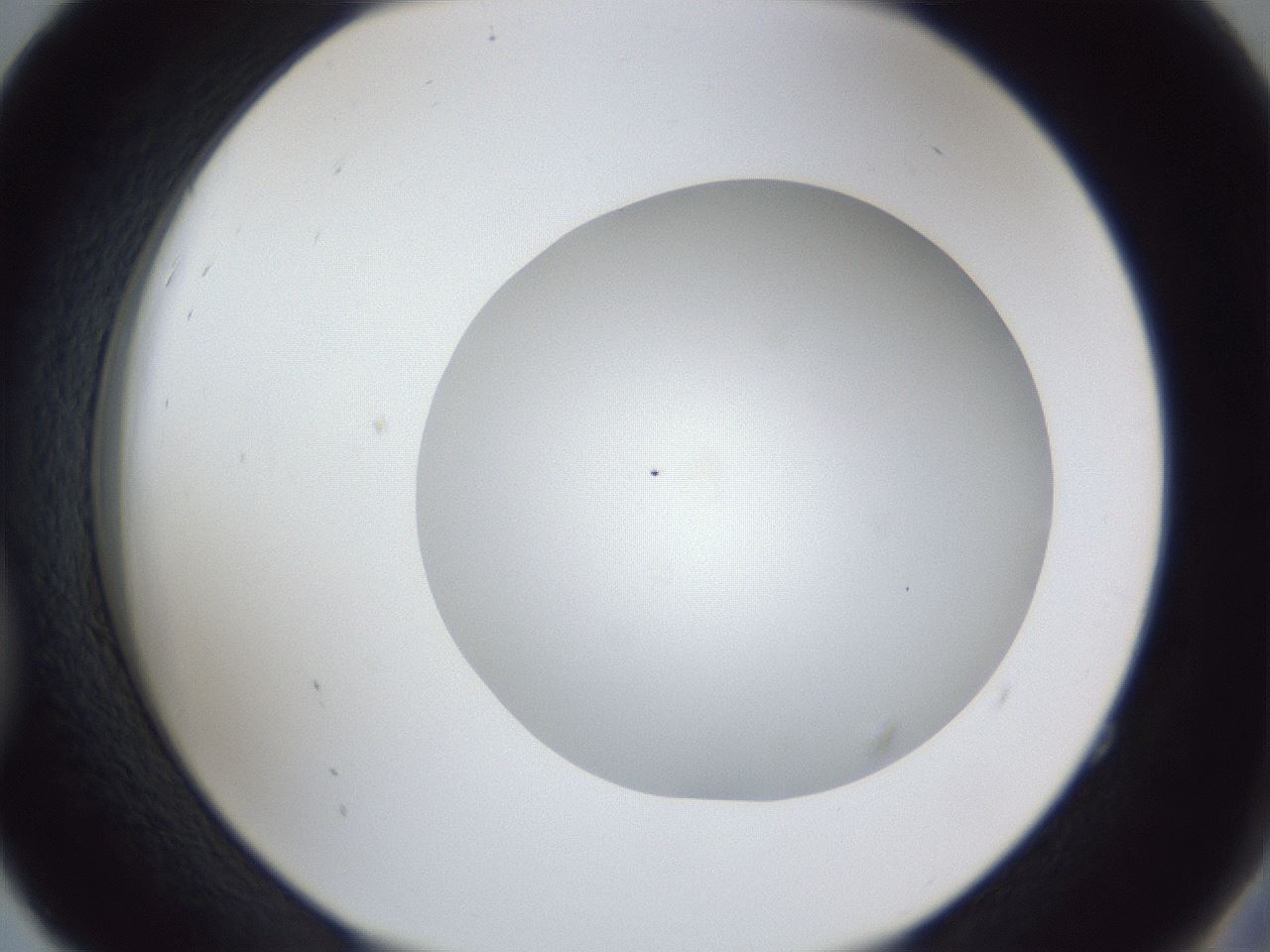 folderID32_plateID1032_batchID2002_wellNum52_profileID1_d2_r44619_ef.jpg