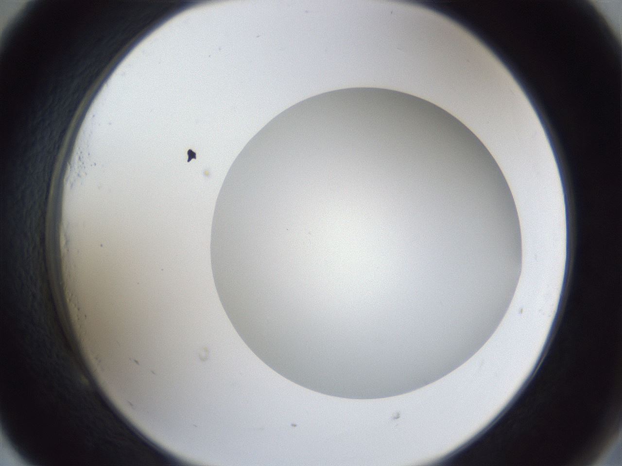 folderID32_plateID1032_batchID2002_wellNum53_profileID1_d2_r44621_ef.jpg