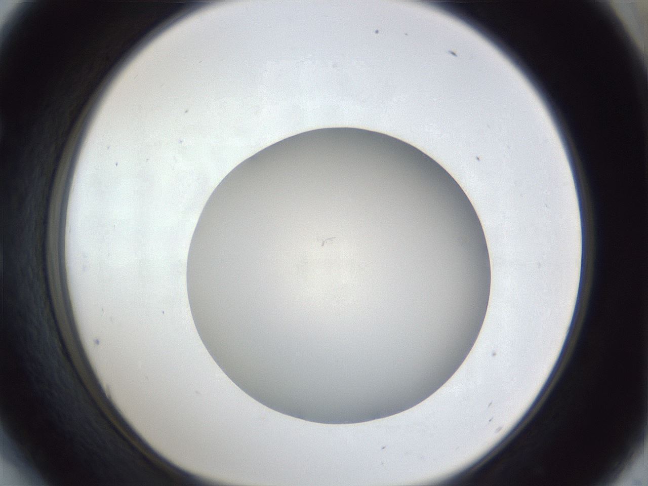 folderID32_plateID1032_batchID2002_wellNum54_profileID1_d1_r44622_ef.jpg