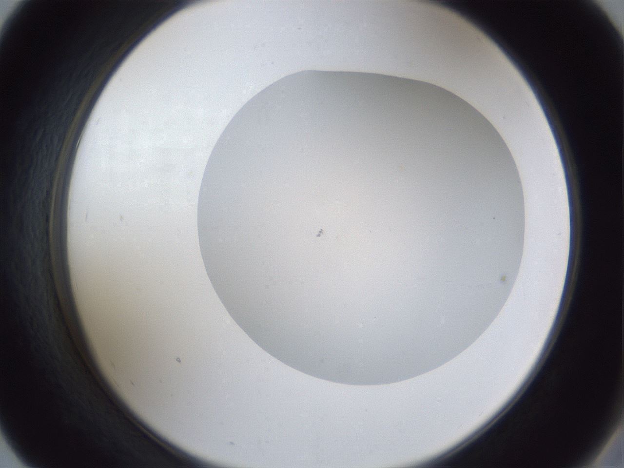 folderID32_plateID1032_batchID2002_wellNum55_profileID1_d2_r44625_ef.jpg