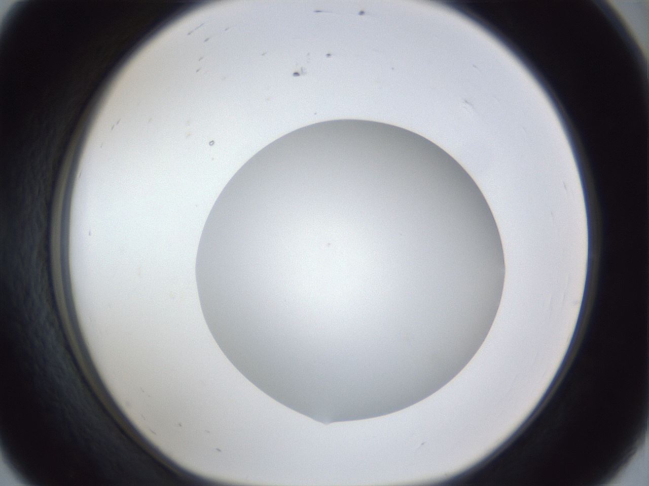 folderID32_plateID1032_batchID2002_wellNum56_profileID1_d1_r44626_ef.jpg