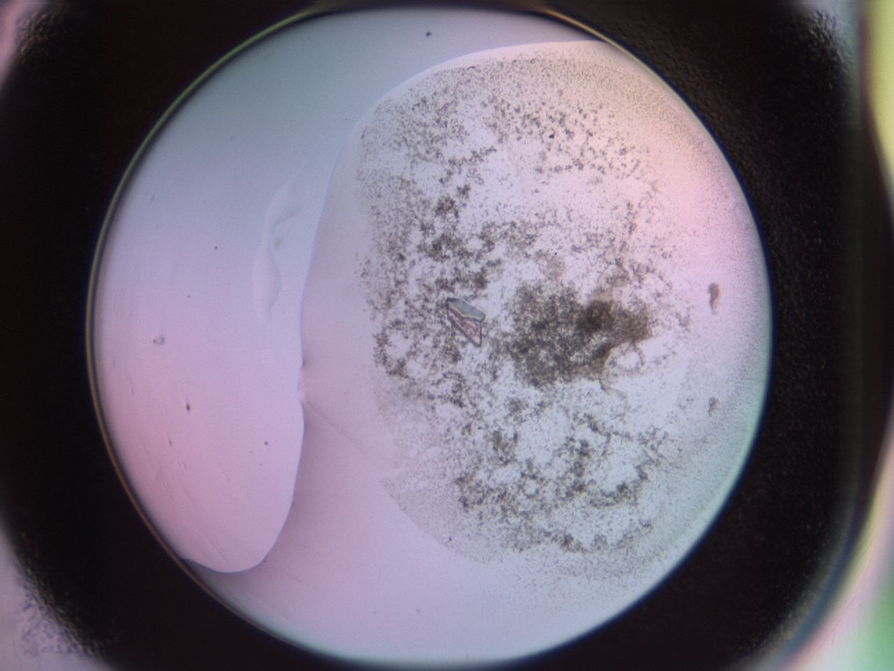 02kf_C4_ImagerDefaults_9.jpg