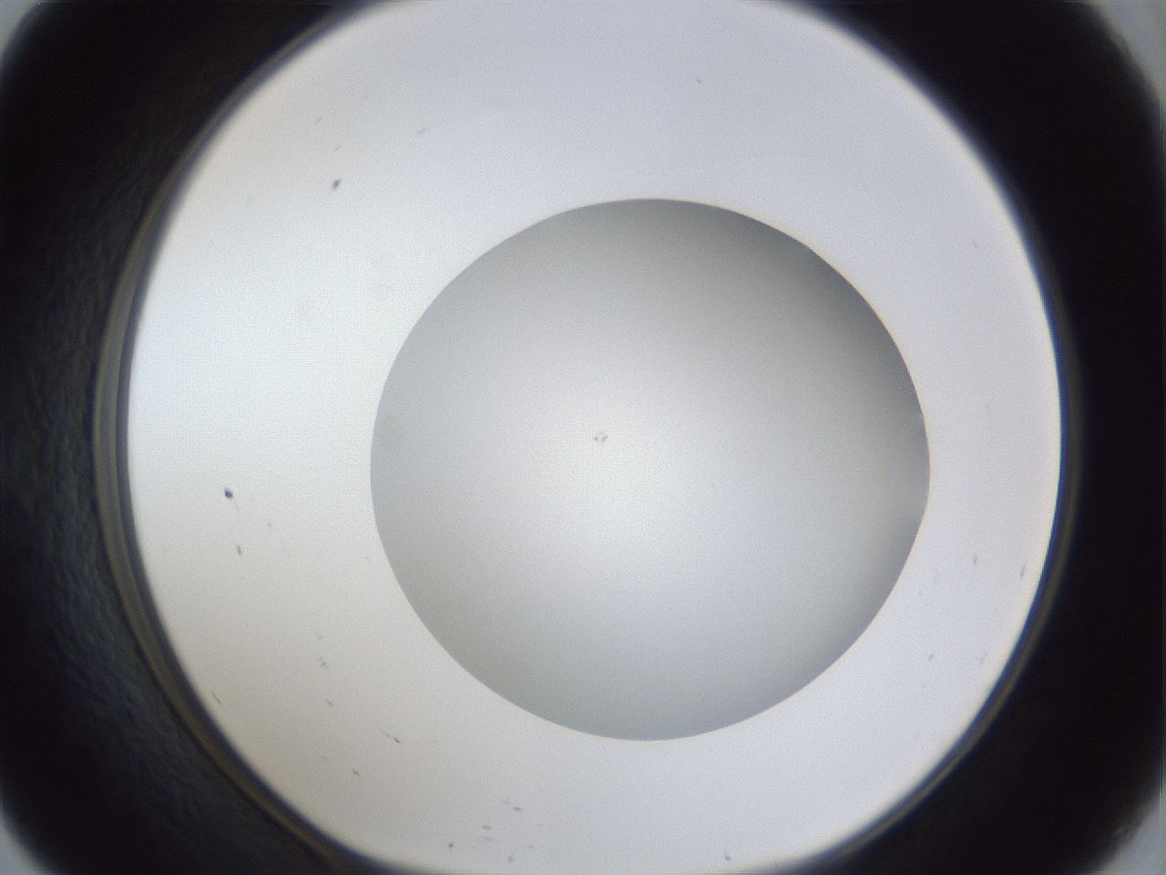 folderID32_plateID1032_batchID2002_wellNum57_profileID1_d1_r44628_ef.jpg